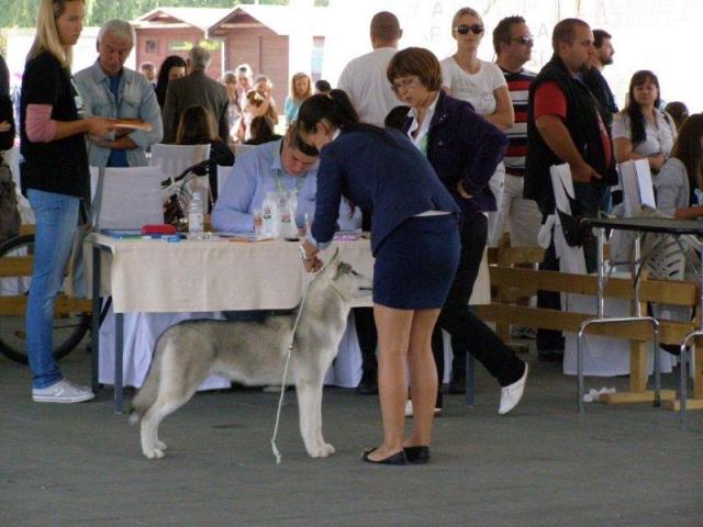 sooshka i nikolina3.jpg